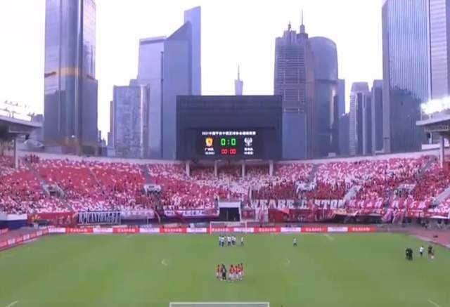 手机在线黄色网址