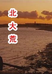 国产最新小视频在线播放下载