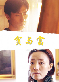 完美的妻子